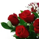 St. John flowers  -  All  My Love Flower Bouquet/Arrangement