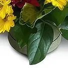 St. John flowers  -  Vibrant Delight Flower Bouquet/Arrangement