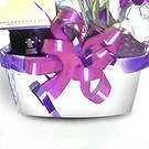 Blowing Point blomster- Prøvetaker for fruktbare øyeblikk Blomsterarrangementer bukett