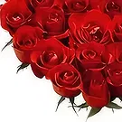 Ал-Хирая цветя- Желание на сърцата Букет/договореност цвете