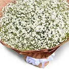 Chhededaha blomster- Flott inntrykk Blomsterarrangementer bukett