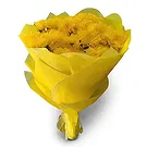 Nepal flowers  -  Positive Vibes Flower Bouquet/Arrangement