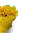 Nepal flowers  -  Positive Vibes Flower Bouquet/Arrangement