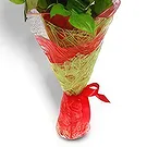 Nepal flowers  -  Love You Forever Flower Bouquet/Arrangement