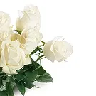 Nepal flowers  -  Peaceful Flower Bouquet/Arrangement