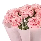 Nepal flowers  -  Flawless Flower Bouquet/Arrangement
