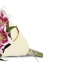 Nepal flowers  -  Sweet Vibes Flower Bouquet/Arrangement