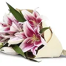 Nepal flowers  -  Sweet Vibes Flower Bouquet/Arrangement