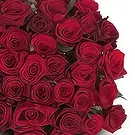 Lithuania flowers  -  Bag Of Love Flower Bouquet/Arrangement