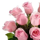 Lithuania flowers  -  Pink & Shine Flower Bouquet/Arrangement