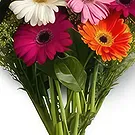 Nepal flowers  -  Friendliness Flower Bouquet/Arrangement