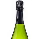 Bollullos de la Mitacion flowers  -  Bottle of Spanish  Cava Flower Bouquet/Arrangement