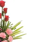 Nepal flowers  -  Strong Feelings Flower Bouquet/Arrangement
