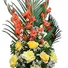 Chhededaha blomster- Tender Touch Blomsterarrangementer bukett