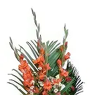 Chhededaha blomster- Tender Touch Blomsterarrangementer bukett