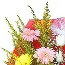 Nepal flowers  -   Bright Basket Flower Bouquet/Arrangement
