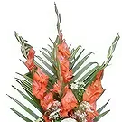 Nepal flowers  -  Special Selection Flower Bouquet/Arrangement