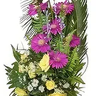 Nepal flowers  -  Petals Smirk Flower Bouquet/Arrangement