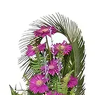 Nepal flowers  -  Petals Smirk Flower Bouquet/Arrangement