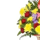 Nepal flowers  -  Purest Feelings Flower Bouquet/Arrangement