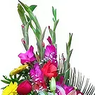 Nepal flowers  -  Brilliant Flowers Flower Bouquet/Arrangement