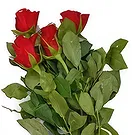 Nepal flowers  -  Heartfelt Gift Flower Bouquet/Arrangement