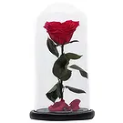 Adma flowers  -  Enchanted Rose Flower Bouquet/Arrangement