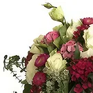Adma flowers  -  Soft Hamper  Flower Bouquet/Arrangement