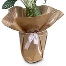 Adma flowers  -  Perfect Gift Flower Bouquet/Arrangement