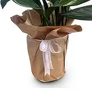 Adma flowers  -  Natural Touch Flower Bouquet/Arrangement