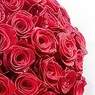 An-Najadah blomster- Rød rose historie Blomsterarrangementer bukett
