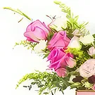 An-Najadah blomster- Alt for deg Blomsterarrangementer bukett