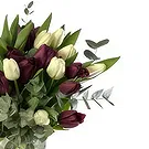 Estonia flowers  -  Spring Choice Flower Bouquet/Arrangement