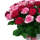 Estonia flowers  -  Soft Combination Flower Bouquet/Arrangement