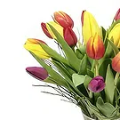 Purtsa flowers  -  Bouquet Of Emotion Flower Bouquet/Arrangement