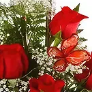 Sa Indioteria blomster- Hundreårsblomstring Blomsterarrangementer bukett