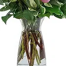 Sa Indioteria blomster- Roser i harmoni Blomsterarrangementer bukett