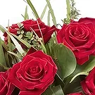 Sa Indioteria blomster- Regal Rose Radiance Blomsterarrangementer bukett