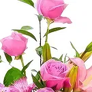Sa Indioteria blomster- Fortryllende hundreårsjubileum Blomsterarrangementer bukett