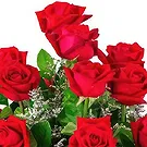 Sa Indioteria blomster- Blooming Century Blomsterarrangementer bukett
