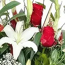 Sa Indioteria blomster- Perfekt valg Blomsterarrangementer bukett