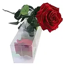 Sa Indioteria blomster- Varig Lovebud Blomsterarrangementer bukett