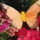Sa Indioteria blomster- Willow Wonder Blomsterarrangementer bukett