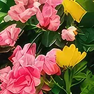 Sa Indioteria blomster- Elegant omfavnelse Blomsterarrangementer bukett