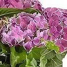 Sa Indioteria blomster- Cactus Coolness Blomsterarrangementer bukett