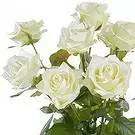Ipsach Blumen Florist- Einzelne weiße Rosen Bouquet/Blumenschmuck