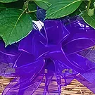 Sa Indioteria blomster- Cactus Coolness Blomsterarrangementer bukett