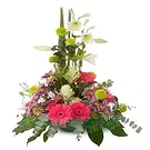 Sa Indioteria blomster- Hagesymfonisamling Blomsterarrangementer bukett