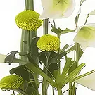 Sa Indioteria blomster- Hagesymfonisamling Blomsterarrangementer bukett