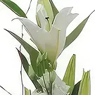 Sa Indioteria blomster- Petal Paradise-kurv Blomsterarrangementer bukett